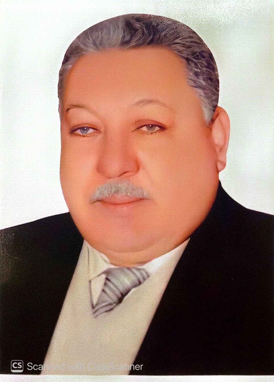 المستشار ثروت عامر